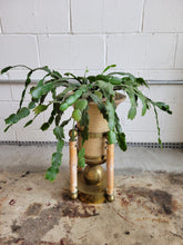 Load image into Gallery viewer, Hollywood Regency Style Brass Planter, with Pottery Insert