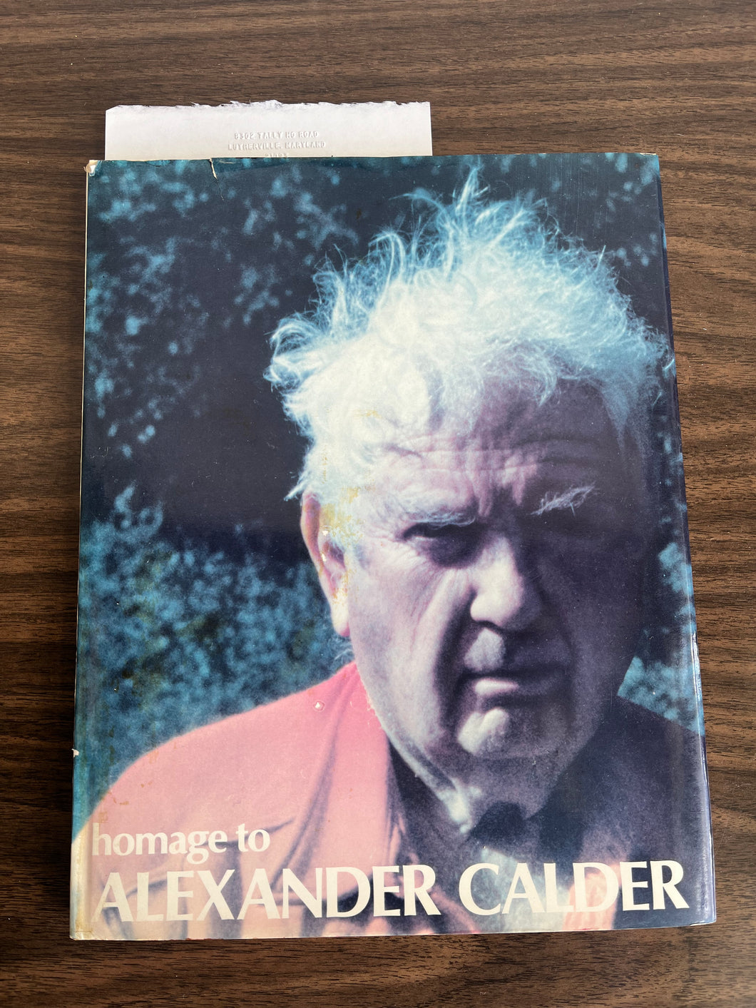 Homage to Alexander Calder