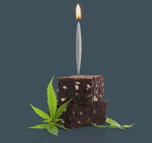 Load image into Gallery viewer, Lit! - Joint Birthday Candles
