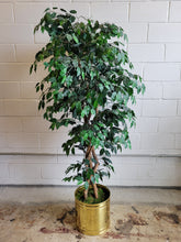 Load image into Gallery viewer, Fake Ficus in Goldtone Planter
