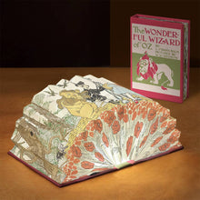 Load image into Gallery viewer, The Wonderful Wizard of Oz Book Light
