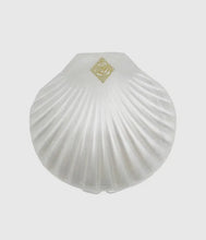 Load image into Gallery viewer, Seashell Compact
