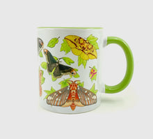 Load image into Gallery viewer, Moths of Eastern United States Mug
