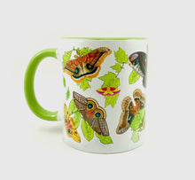 Load image into Gallery viewer, Moths of Eastern United States Mug
