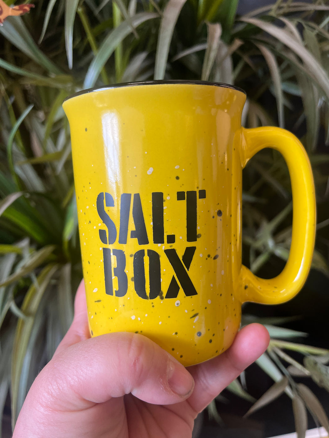 Salt Box Mug