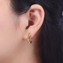 Load image into Gallery viewer, Pair of Gold Plated Bamboo Hoops

