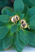 Load image into Gallery viewer, Fortune Beetle Studs
