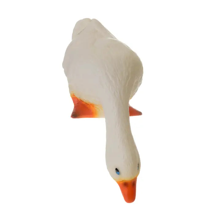 Duck Looking Down Light
