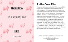 Load image into Gallery viewer, In Two Shakes of A Lamb&#39;s Tail: A Quiz Deck of Curious Sayings Knowledge Cards
