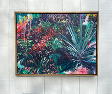 Load image into Gallery viewer, Cordyline Plant in Tulum
